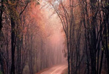 问鼎app官网：库里伤停勇士负老鹰吞第30败 巴特勒25+8特雷杨25+5+10.