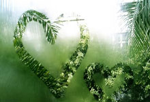 问鼎app官网：半场战报：广西蓝航-温州，热合米图拉失点.