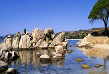 暂别赛场，两届奥运冠军安赛龙宣布将接受背伤手术.